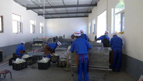 神木 畫好扶貧同心圓 昔日貧困村華麗蛻變