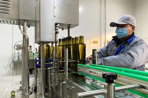 龍江振興這五年丨林下掘金生態(tài)富民