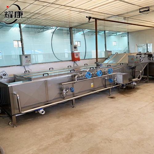 全自動果蔬漂燙機(jī) 玉米生產(chǎn)加工設(shè)備