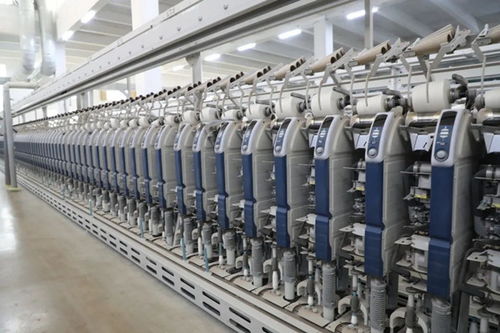 副省長(zhǎng)羅小云到我縣調(diào)研紡織服裝產(chǎn)業(yè)鏈發(fā)展情況