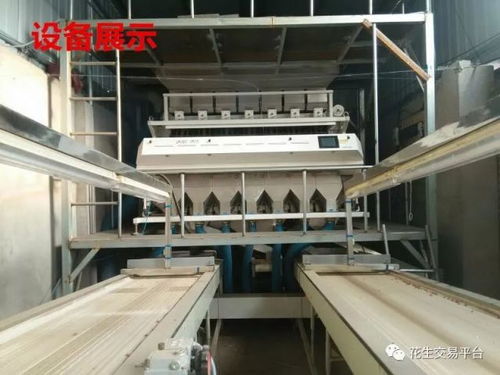 中國花生市場網(wǎng)為您推薦 灤縣通達(dá)花生加工廠