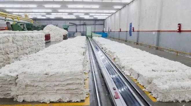 關(guān)于開展&ldquo;智目智能杯&rdquo;棉花知識及應用技術(shù)專題學習月的活動通知