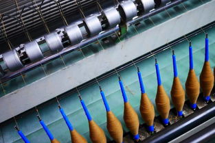 我們愿為你堅(jiān)守 e家內(nèi)蒙溯源特輯