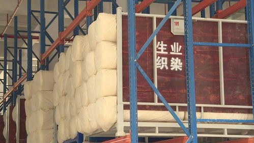 做強(qiáng)做大紡織印染環(huán)保處理中心 助推內(nèi)衣家居服裝行業(yè)持續(xù)發(fā)展