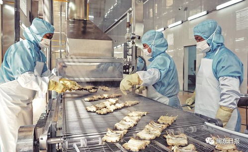 開發三都澳 建設新寧德 三同工程助力水產加工業轉型升級，東僑提升配套服務北部新區產業發展