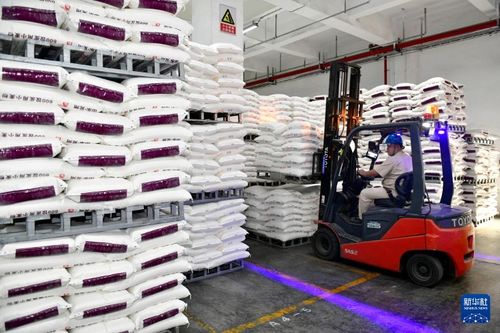 山東兗州 雙輪驅動產業升級，食品加工與紡紗銷售協同發展